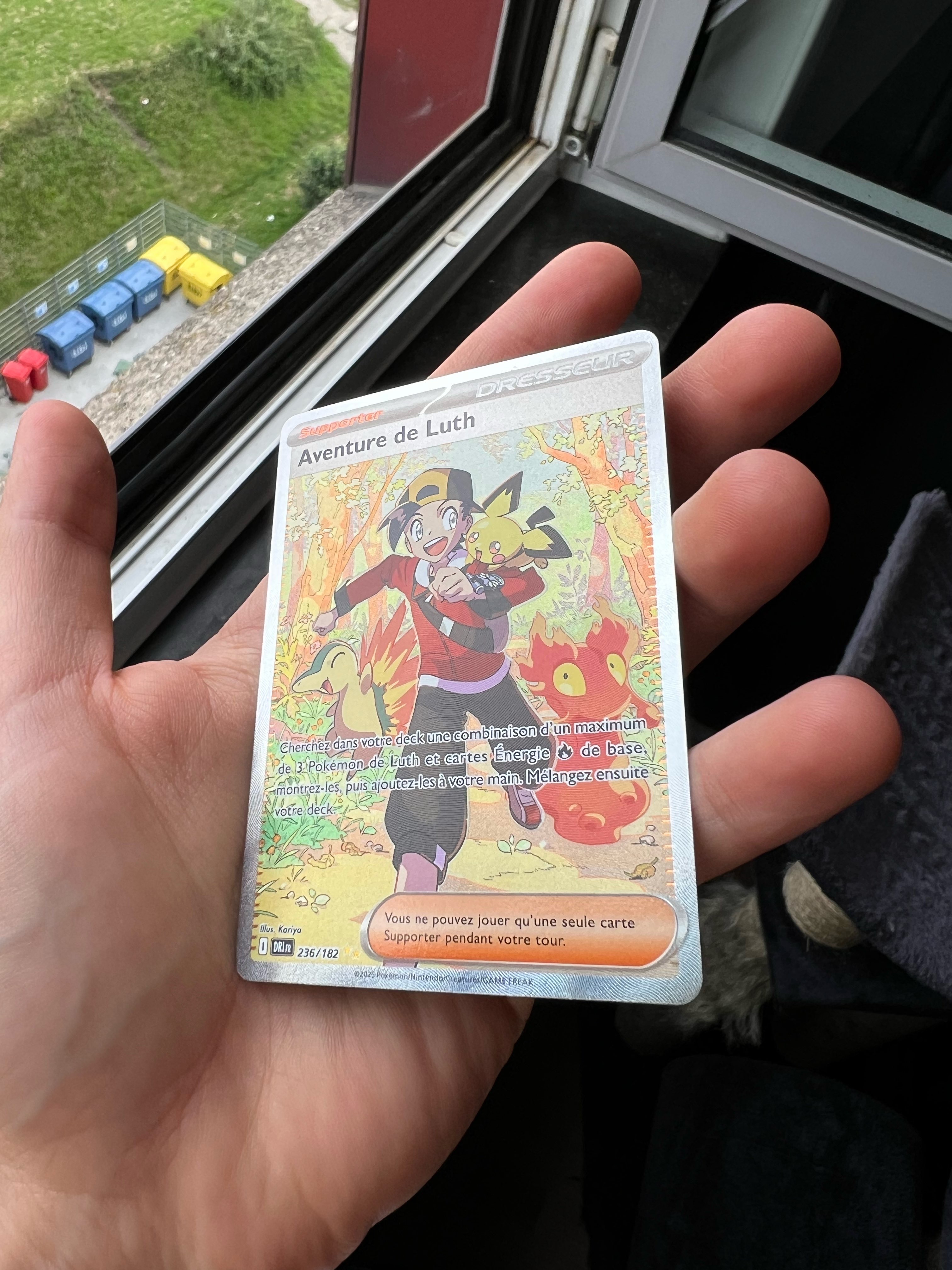 Carte Pokemon - Aventure de Luth 236