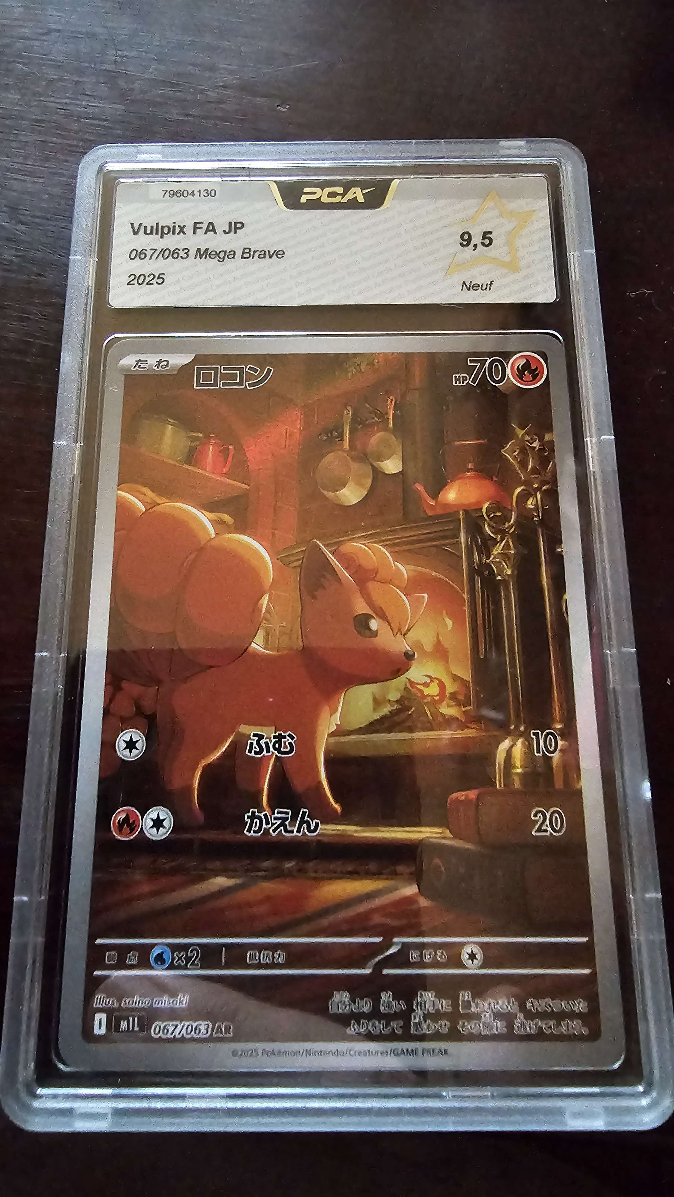 Goupix AR Japonaise Gradée PCA 9.5