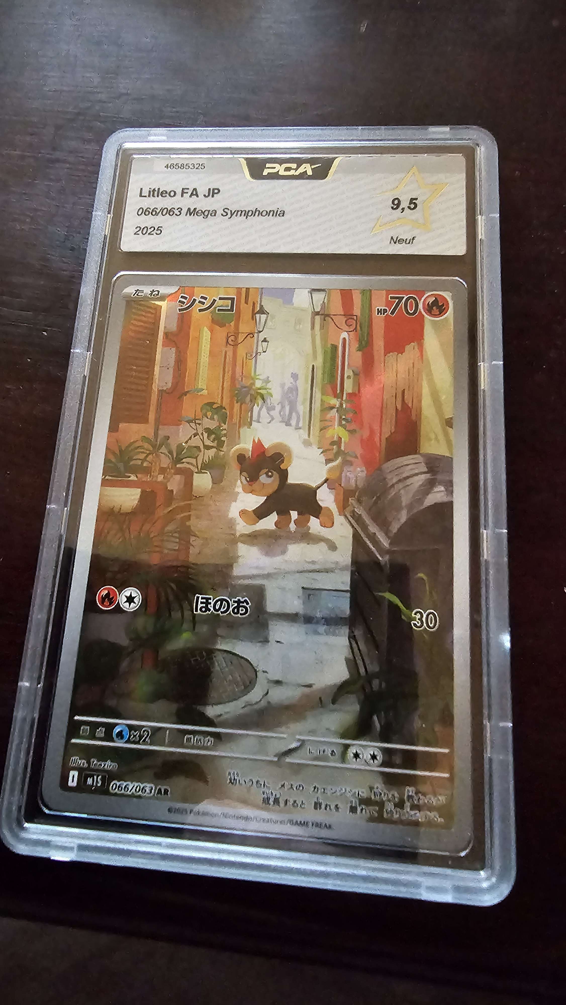 Hélionceau AR Japonaise Gradée 9.5