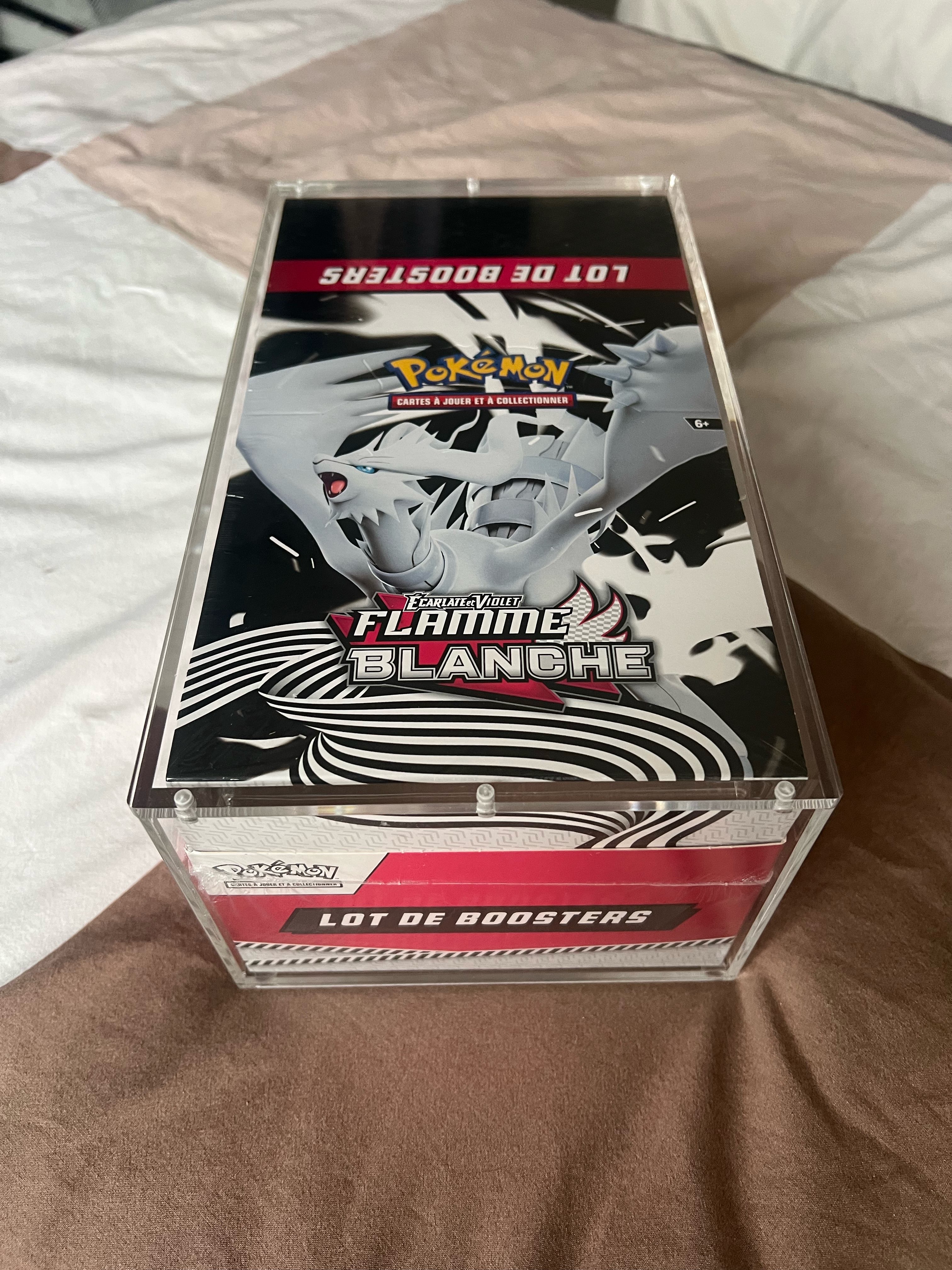 Display Bundle Flamme Blanche EV10