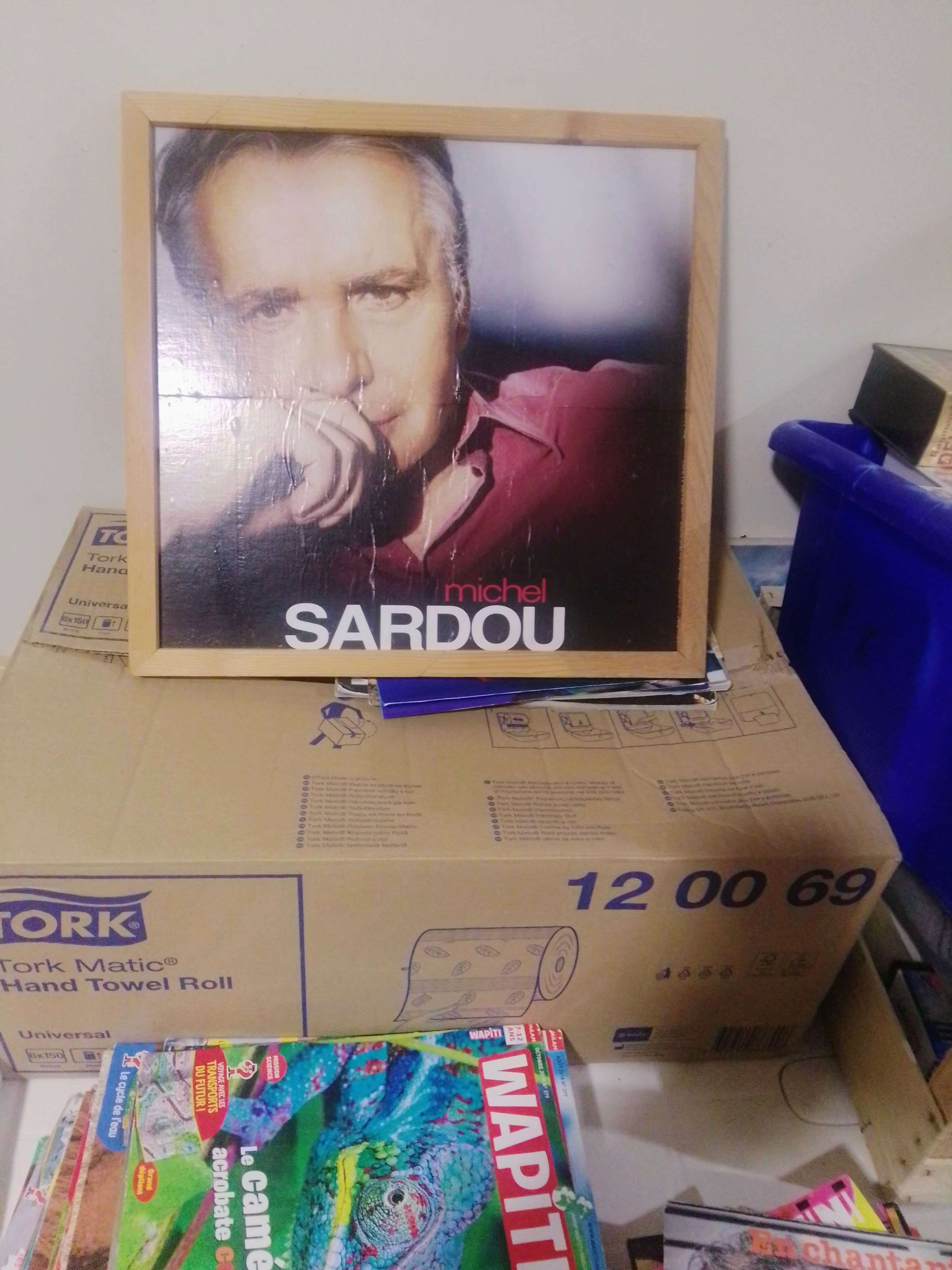 je vends un cadre Michel Sardou