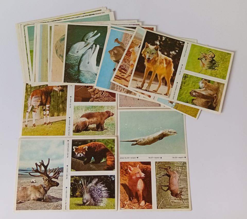 Lot d’Autocollants vintage « Le Monde Fabuleux Des Animaux » - 52 autocollants sur 23 plaquettes, collection presque complète, manque l’autocollant n°17 - Esso