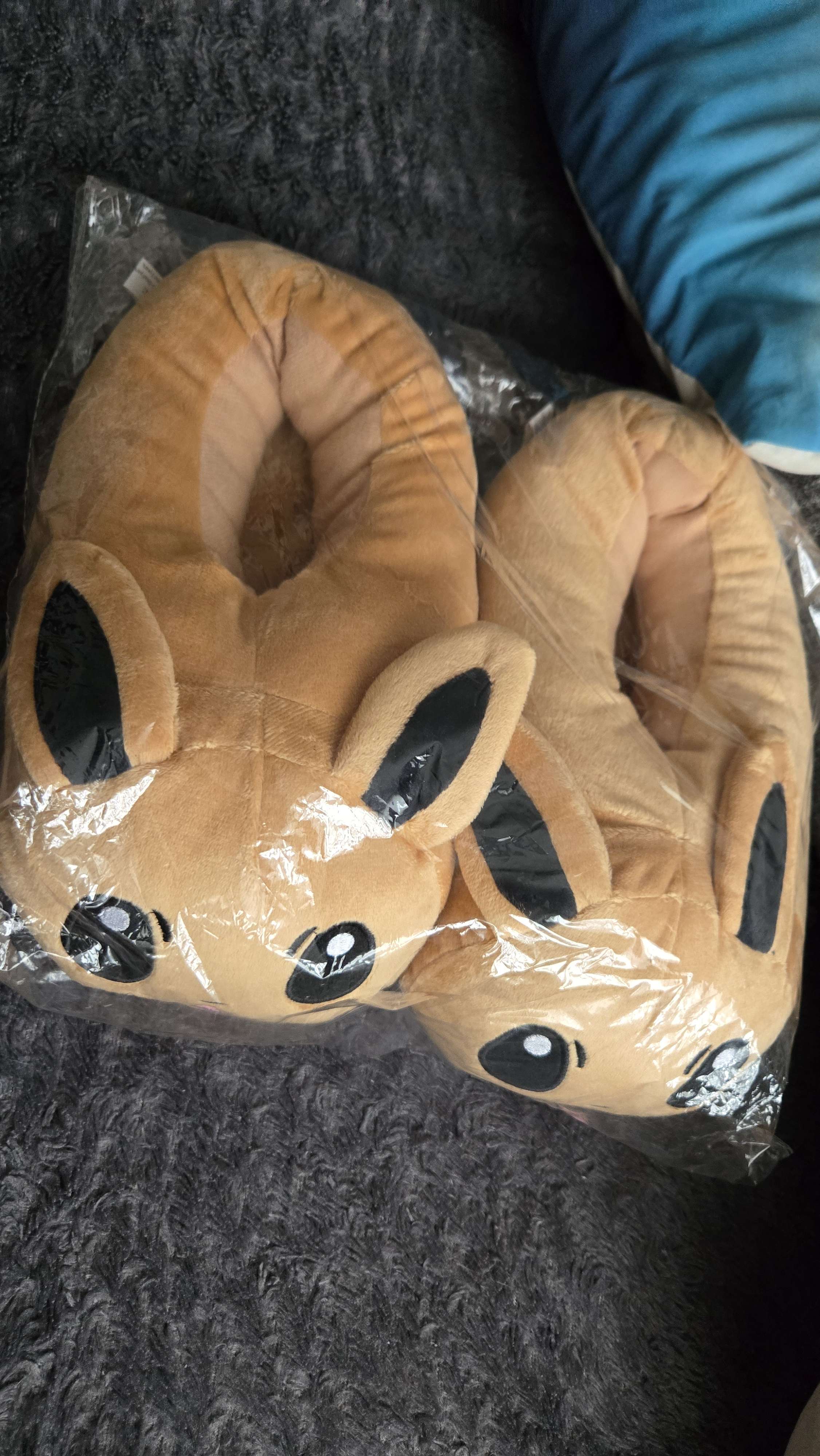 chaussons pokemon evoli