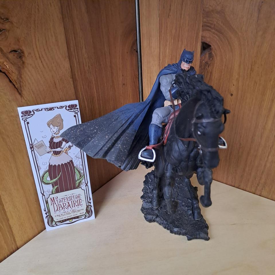 The Dark Knight Returns : A Call to Arms