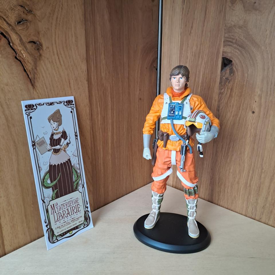 Luke Snowspeeder (Star Wars, Ep. V)
